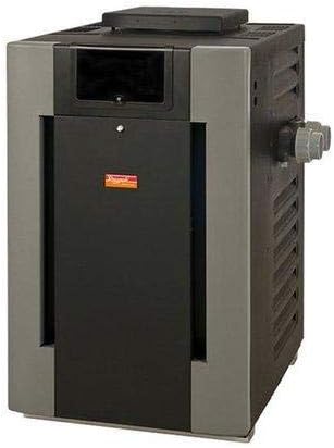 Raypak P-R206A-EN-X Gas Pool Heater 199K BTU - 014938